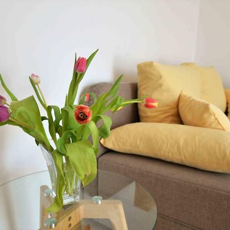 Apartmani Dora 穆泰尔岛 外观 照片